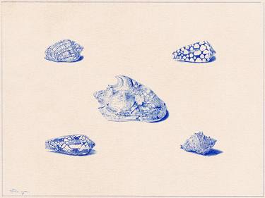 Five Shells in Delft Blue thumb