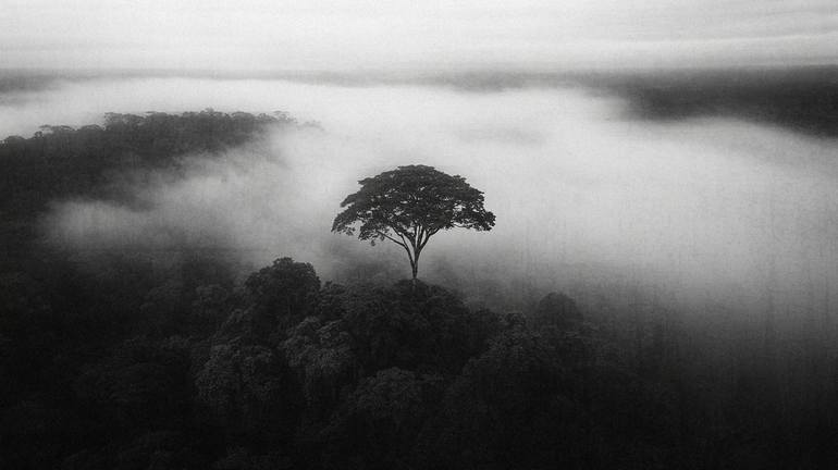 Original Landscape Photography by Felipe Hueb | Abstract Art on Paper | "Guardian of the Mist" - A Tribute to Solitude and Strength