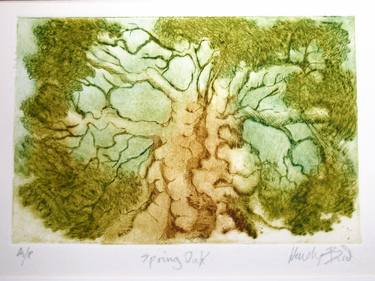 Original Tree Printmaking by wendy bird
