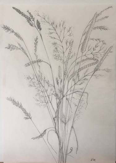 Print of Nature Drawings by wendy bird