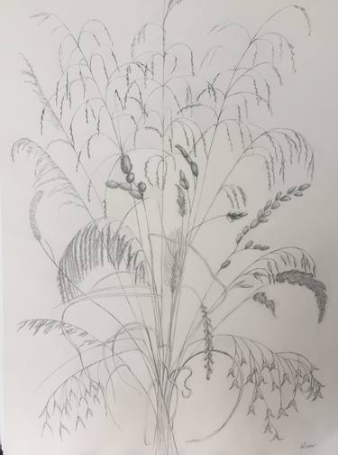 Original Nature Drawings by wendy bird