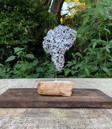 Original Abstract Nature Sculpture by Votú Sculptures