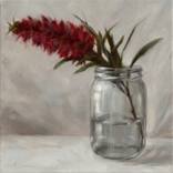 Callistemon in Glass by Anna Speirs