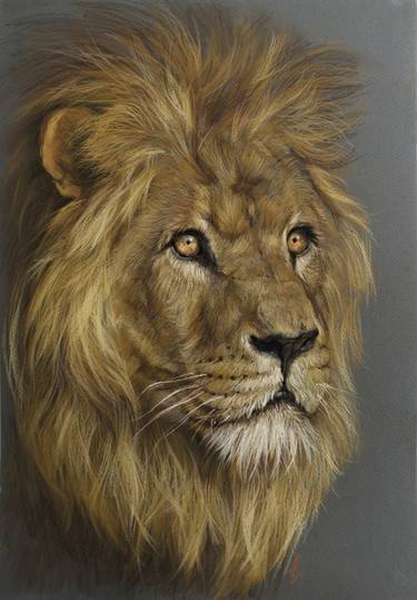 Print of Realism Animal Drawings by Anna Speirs