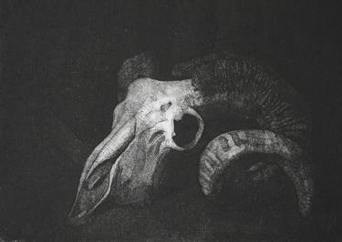 Print of Fine Art Animal Printmaking by Mark McPadden