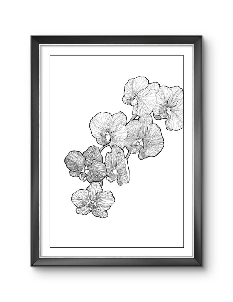 Original Art Nouveau Floral Drawing by Veronika Teslitskaia