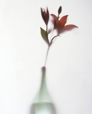 From the series Floating #06, Rome thumb