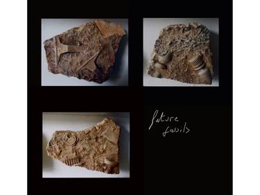 ‘Future Fossils Triptych’ thumb