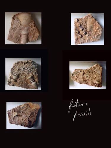 ‘Future Fossils (complete)’ thumb