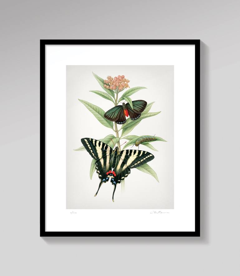 Original Fine Art Botanic Printmaking by Cherie Sinnen