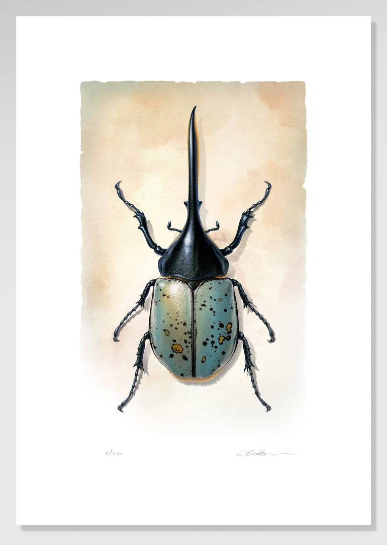 Original Animal Printmaking by Cherie Sinnen