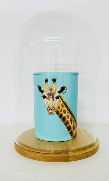 The Canned Collection - Giraffe thumb