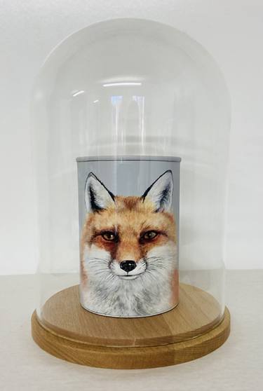 The Canned Collection - Red Fox thumb