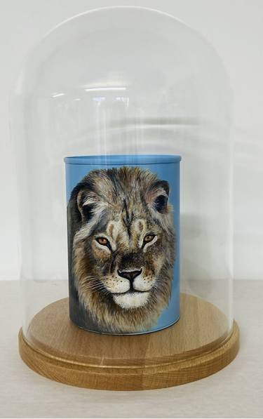 The Canned Collection - African Lion thumb