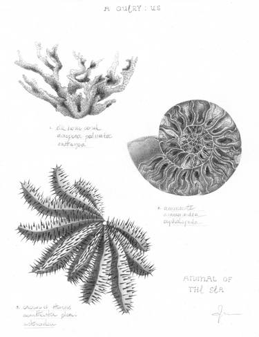 Print of Illustration Science Drawings by Cid Nguyen