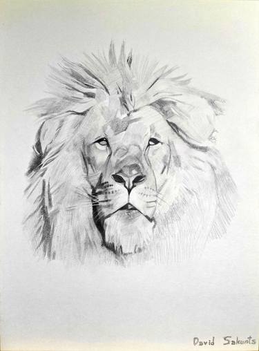 Original Realism Animal Drawings by David Sakunts Depoyan