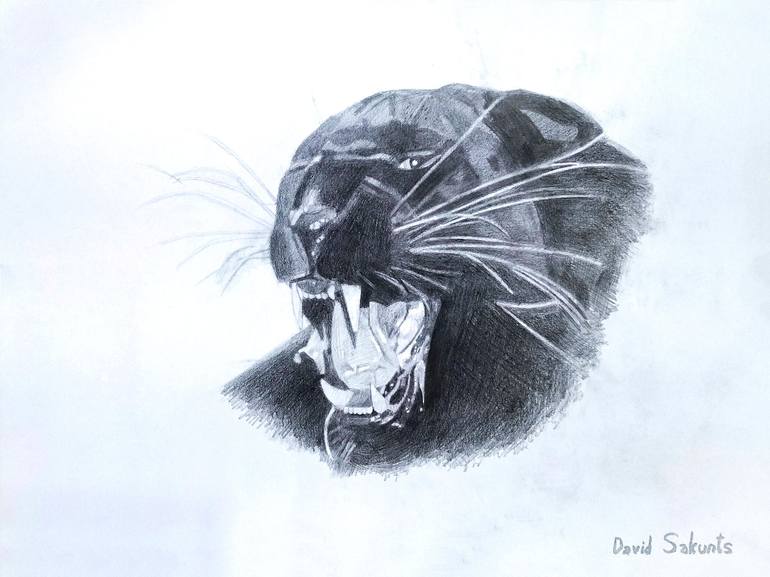 Buy Black Panther Pencil Portrait Drawing Print Online in India - Etsy-saigonsouth.com.vn