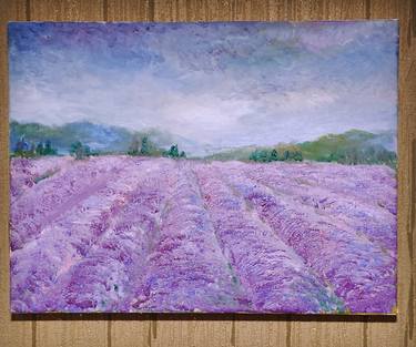 Lavender meadow thumb