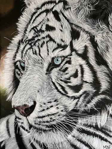 white tiger pencil drawings