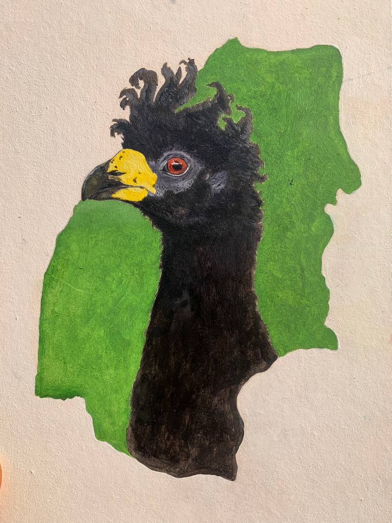 Original Animal Painting by Miiickey Madu | Realism Art on Paper | Great Currasow of the South Americas