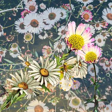 Print of Fine Art Floral Mixed Media by Aimee Timpson