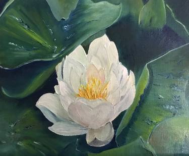 Original Realism Floral Painting by David Taylor-Curran