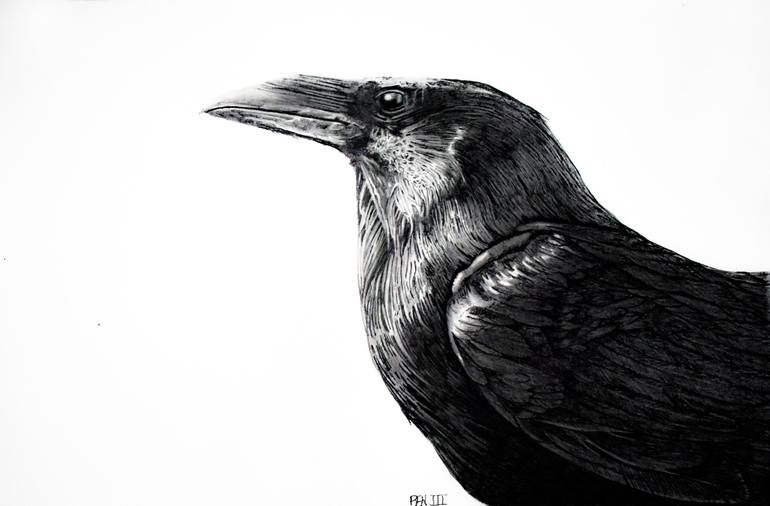 Baltimore-Inspired Raven: 'Get Some Baltimore Art Print for Sale