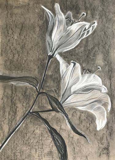 Original Realism Floral Drawings by Iana Volga