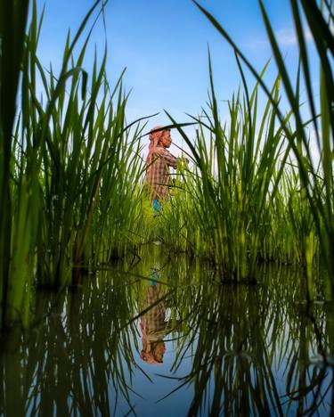 Original Nature Photography by Sadman Bakth Chowdhury