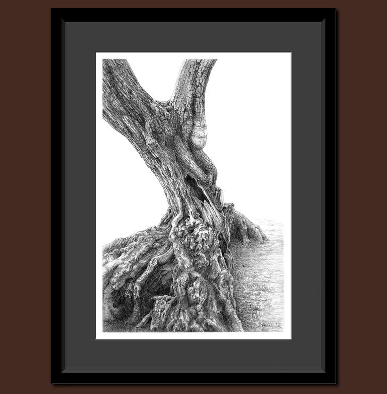 Original Tree Drawing by Fikret Özcan