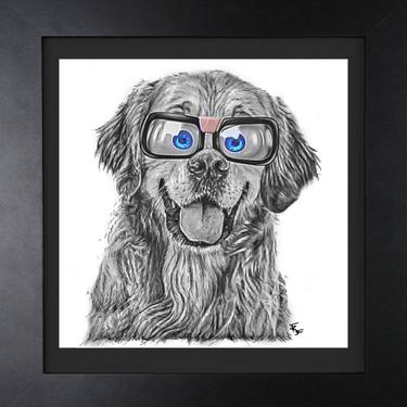 Original Photorealism Dogs Drawings by Trisha RS