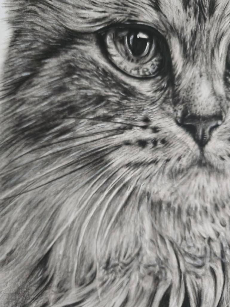 Original Cats Drawing by Trisha RS