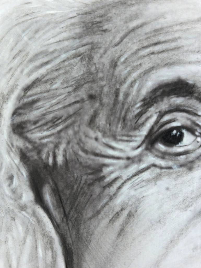 Original Photorealism Pop Culture/Celebrity Drawing by Trisha Rs
