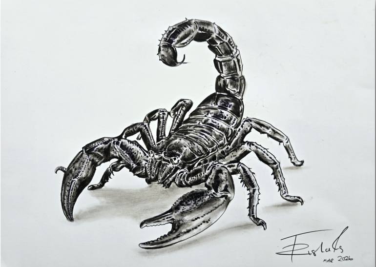 Original Animal Drawing by Trisha Rs | Realism Art on Paper | The Monarch of Shadows