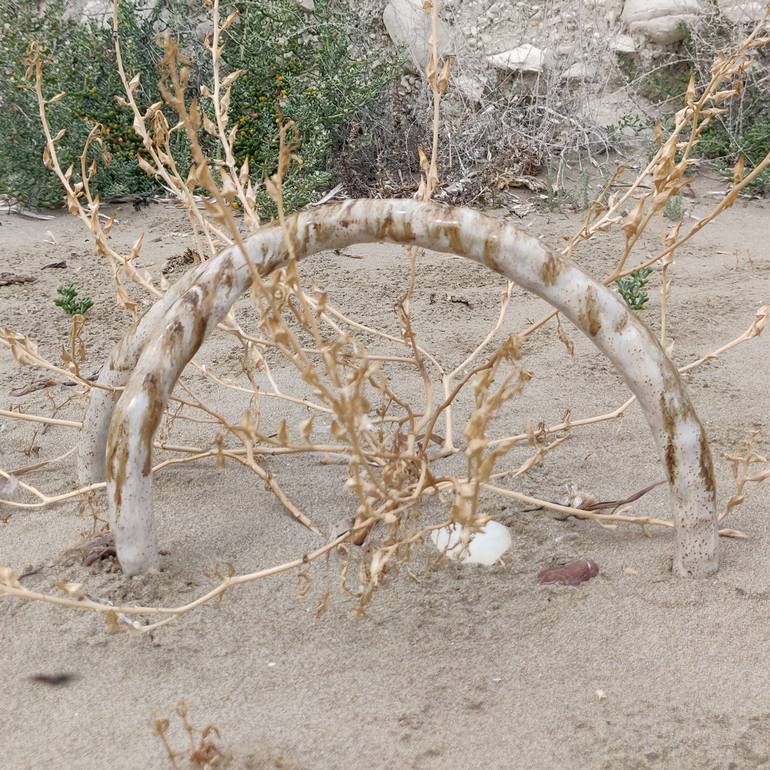 Original Conceptual Botanic Sculpture by Aleksandra Slepchuk