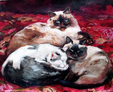 Original Cats Paintings by Elena Utkina