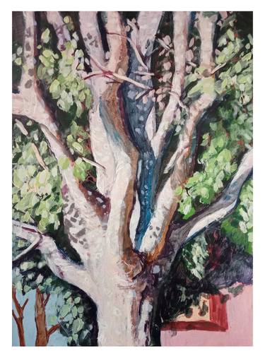 Original Tree Paintings by Luigi Iona