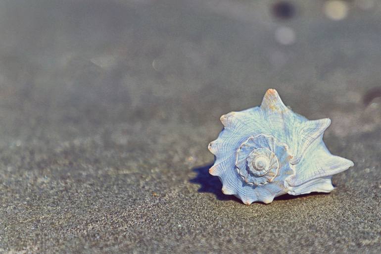 Print of Contemporary Beach Photography by Sarah C Perkins