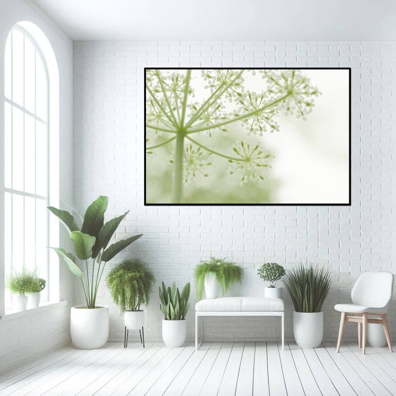 Original Abstract Botanic Photography by Sarah C Perkins