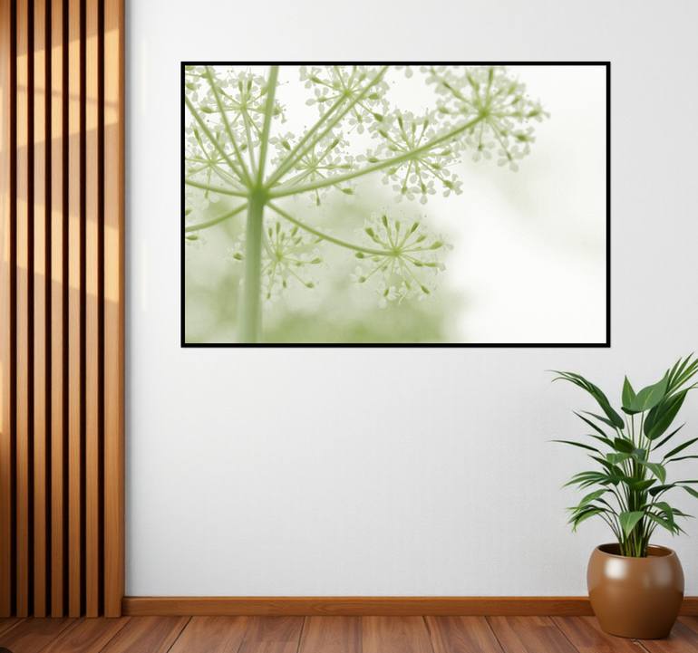 Original Abstract Botanic Photography by Sarah C Perkins