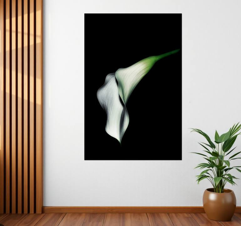 Original Abstract Floral Photography by Sarah C Perkins