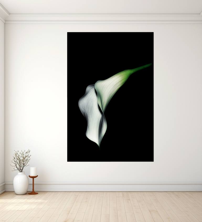 Original Abstract Floral Photography by Sarah C Perkins