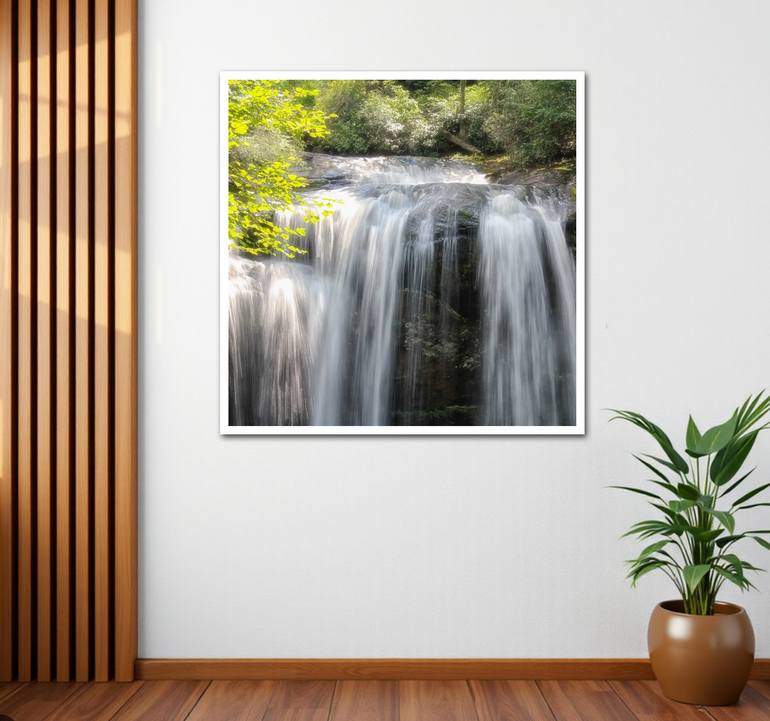 Original Contemporary Nature Photography by Sarah C Perkins