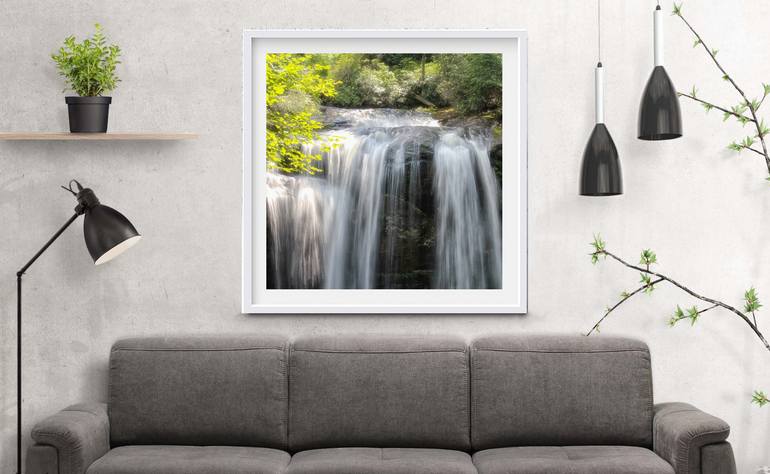 Original Contemporary Nature Photography by Sarah C Perkins