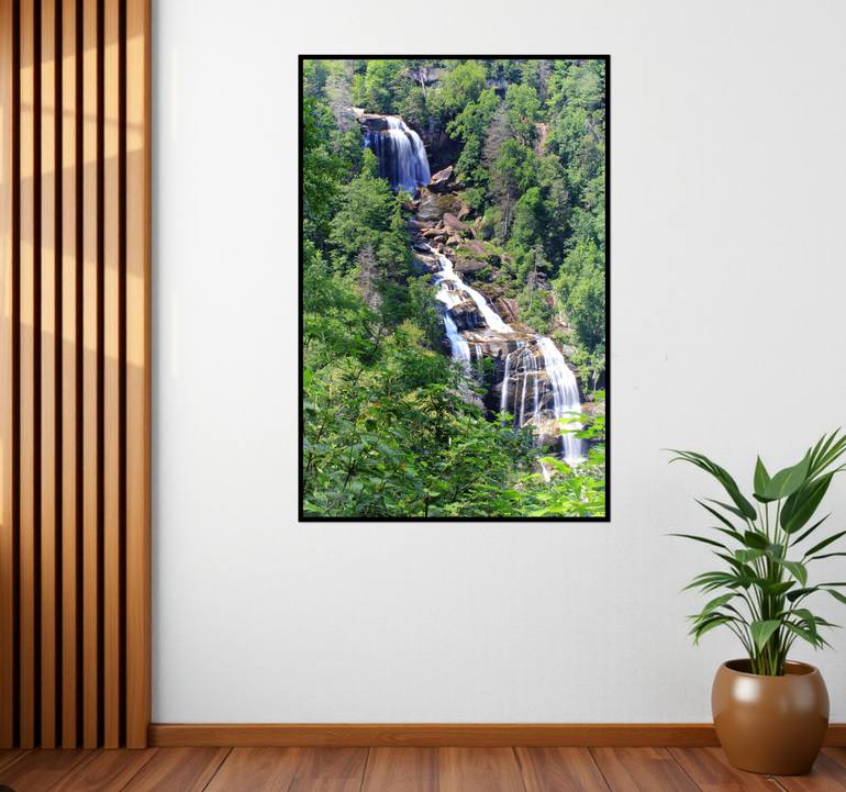 Original Contemporary Nature Photography by Sarah C Perkins