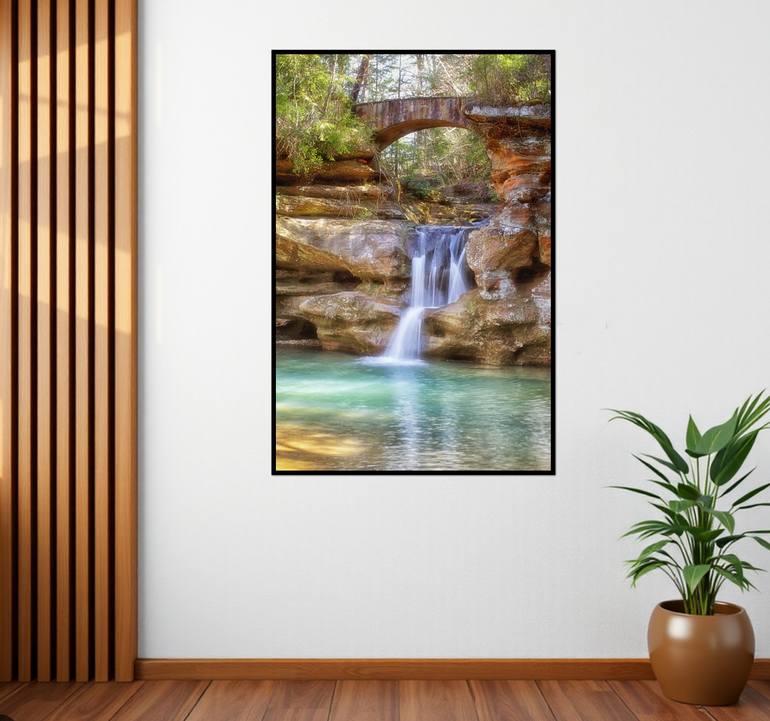 Original Contemporary Nature Photography by Sarah C Perkins