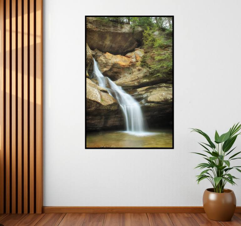 Original Contemporary Nature Photography by Sarah C Perkins