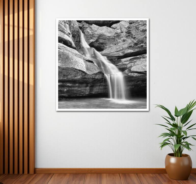 Original Contemporary Nature Photography by Sarah C Perkins