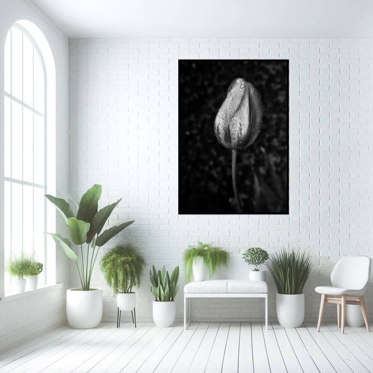 Original Contemporary Floral Photography by Sarah C Perkins
