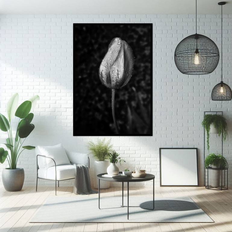 Original Contemporary Floral Photography by Sarah C Perkins